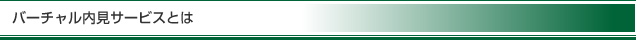 バーチャル内見サービスとは
