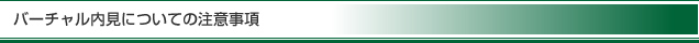 バーチャル内見についての注意事項