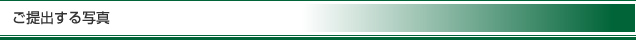 ご提出する写真
